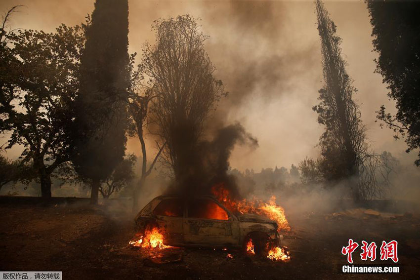 Norte e centro de Portugal novamente assolados pelas chamas