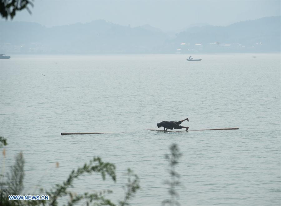 Cidadão de Hangzhou atravessa rio Xin'an com duas canas de bambu