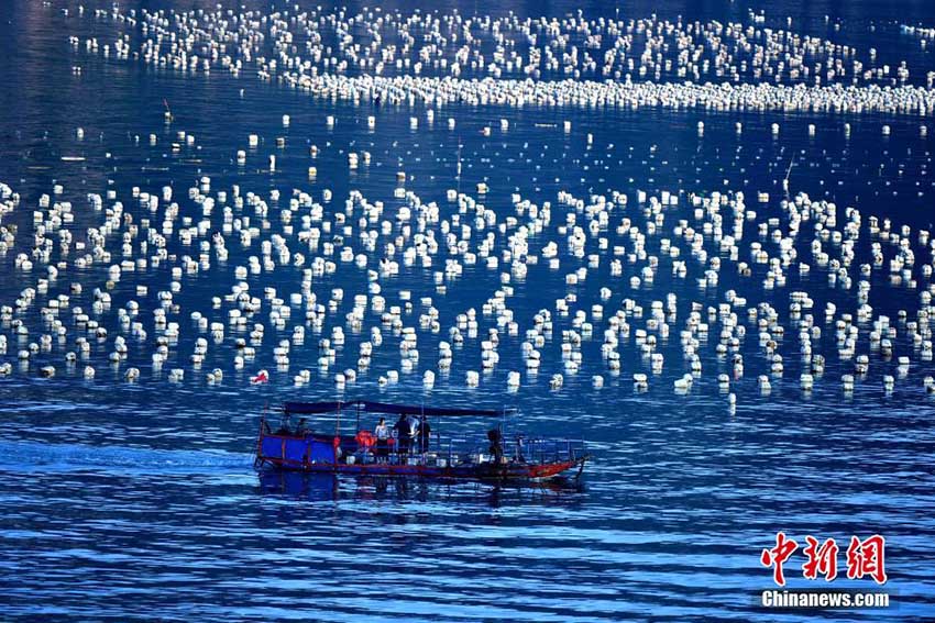 Galeria: Paisagem aérea do lodaçal de Xiapu, na província de Fujian