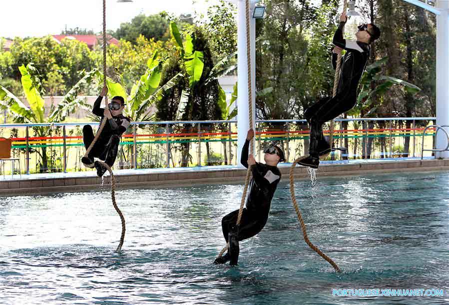 Membros de equipe SWAT participam de exercício em Shanghai, no leste da China