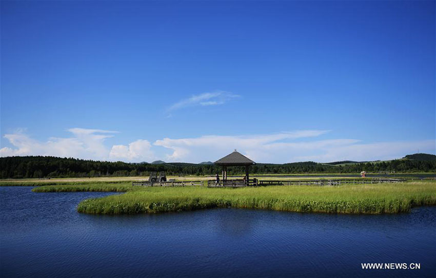 Galeria: Paisagem de Saihanba no norte da China