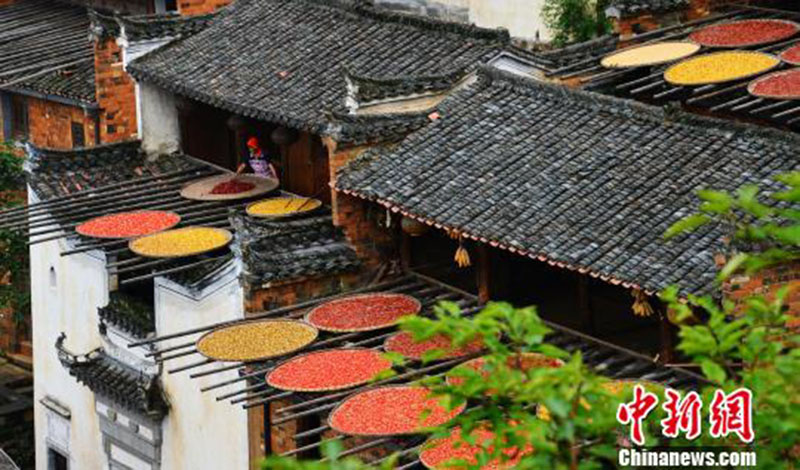 Galeria: “Seca outonal” em Jiangxi