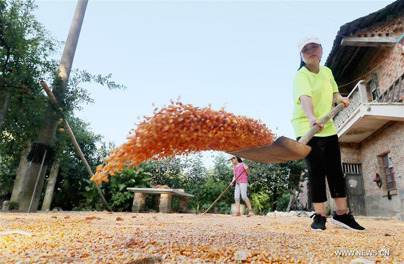 Galeria: “Seca outonal” em Jiangxi