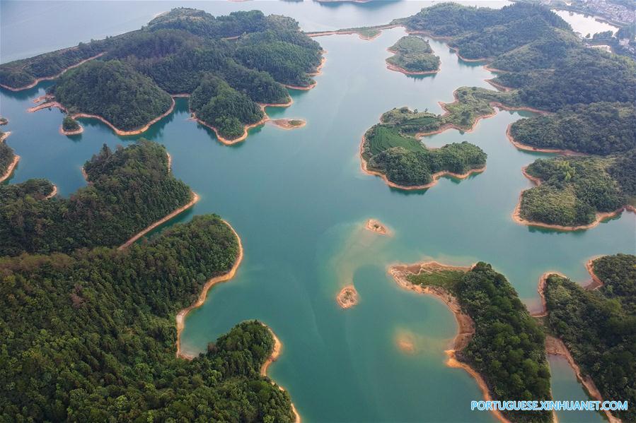 Lago Qiandao: Lar de 114 espécies conhecidas de peixes