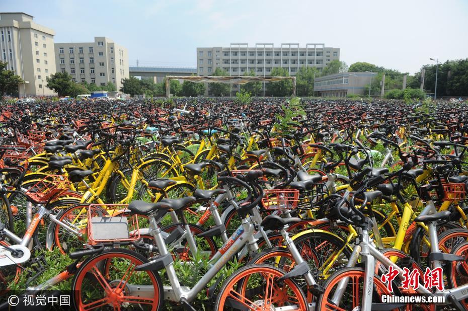 Dezenas de milhares de bicicletas compartilhadas estacionadas em campus abandonado em Hefei