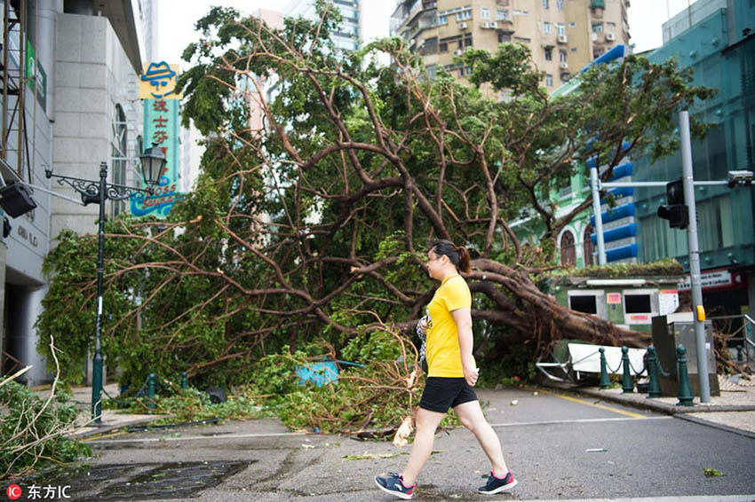 Tufão mais forte do ano provoca mortos e feridos no sul da China