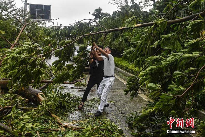 Tufão mais forte do ano provoca mortos e feridos no sul da China