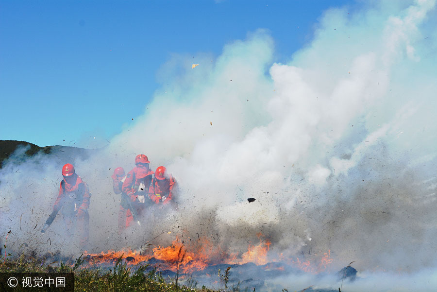 Mongólia Interior realiza exercício de prevenção contra incêndios florestais