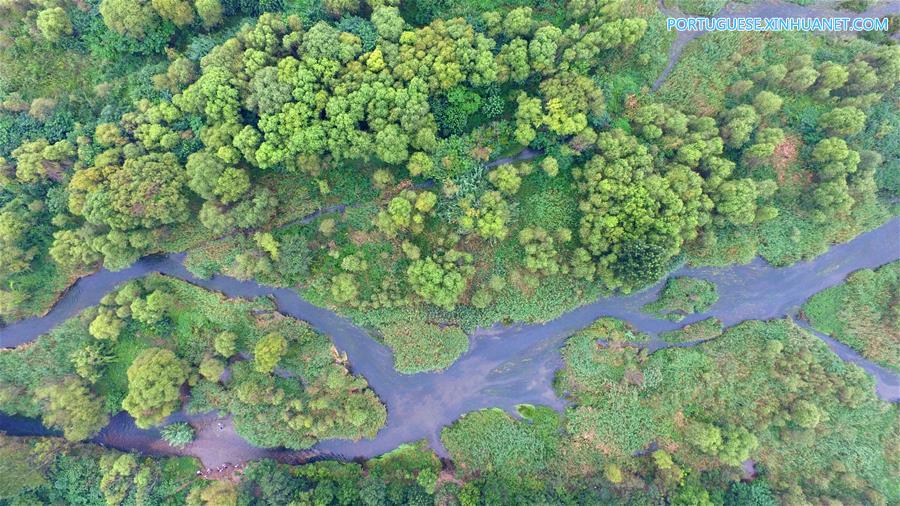 Paisagem do Parque Nacional Pantanal de Qihe em Henan