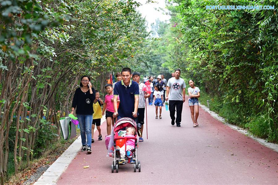 Paisagem do Parque Nacional Pantanal de Qihe em Henan