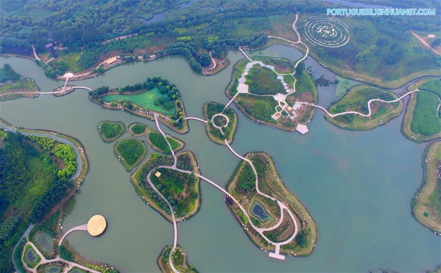 Paisagem do Parque Nacional Pantanal de Qihe em Henan