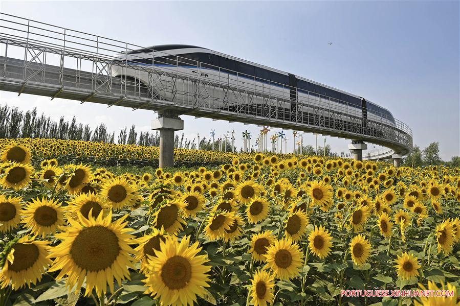 9ª Expo Flower da China em Yinchuan