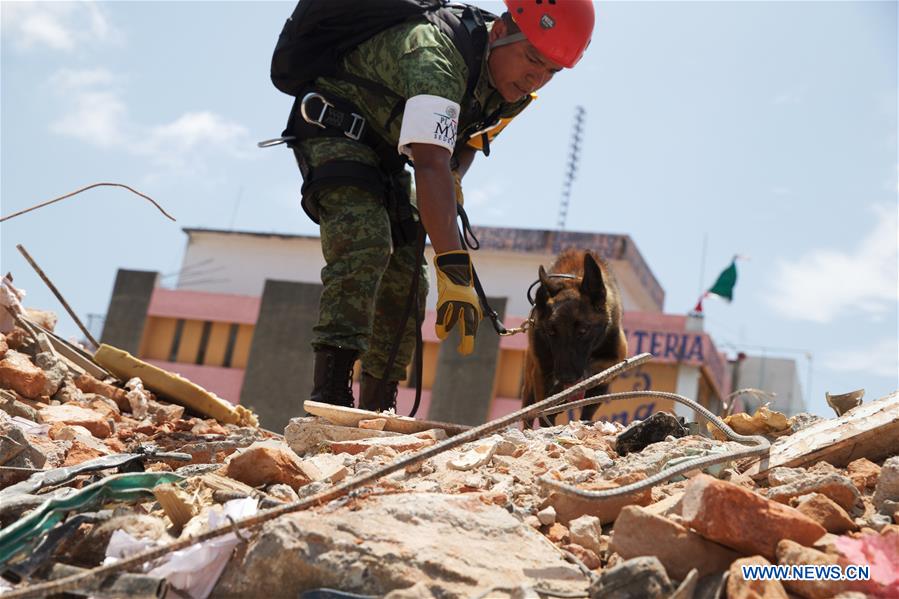 Número de vítimas mortais de terremoto no México sobe para 90