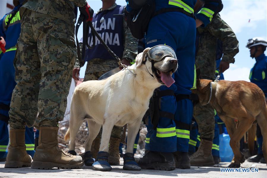 Número de vítimas mortais de terremoto no México sobe para 90