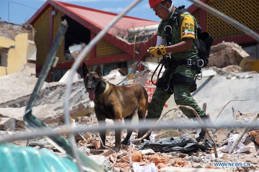 Número de vítimas mortais de terremoto no México sobe para 90