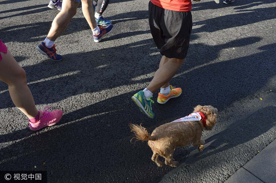 Corredores competem durante Maratona de Beijing 2017