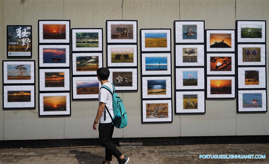 Destaques do 17º Festival Internacional de Fotografia de Pingyao