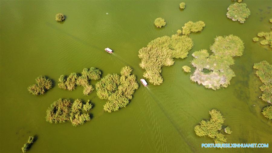 Paisagem de Shahu, no noroeste da China