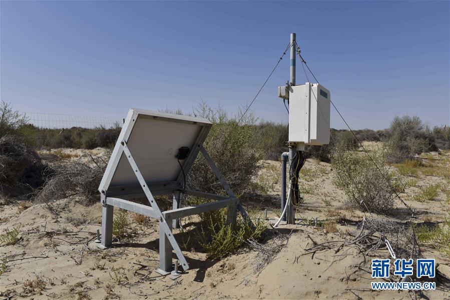 Desertificação na Bacia de Tarim controlada com sucesso