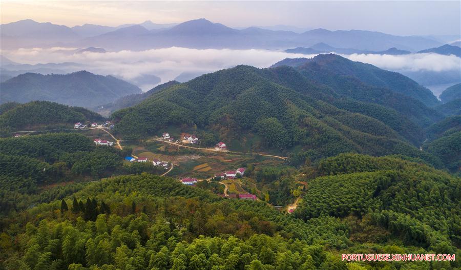 Paisagem de bambus e mar de nuvens em Anhui, no leste da China