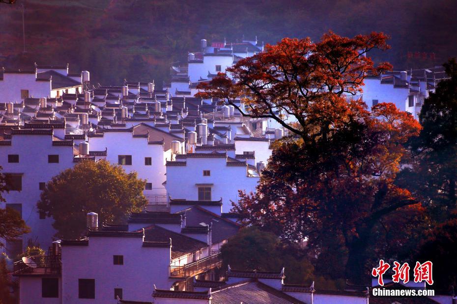 Galeria: Aldeia no sul da China preserva arquitetura secular