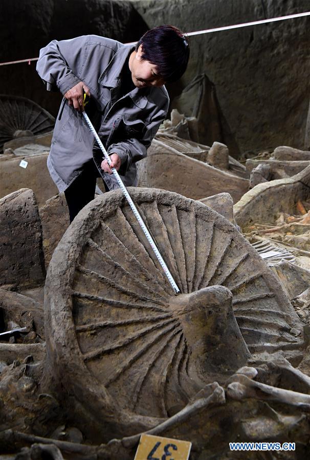 China: Arqueólogos descobrem cavalos e carruagens com 2.400 anos