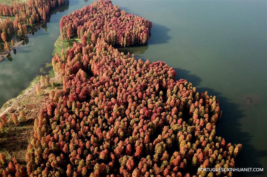 Paisagem do lago Siming em Zhejiang