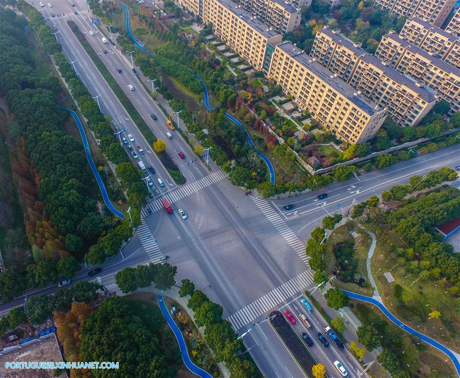 Ciclovias verdes oferecem opção de viagem ecológica na China