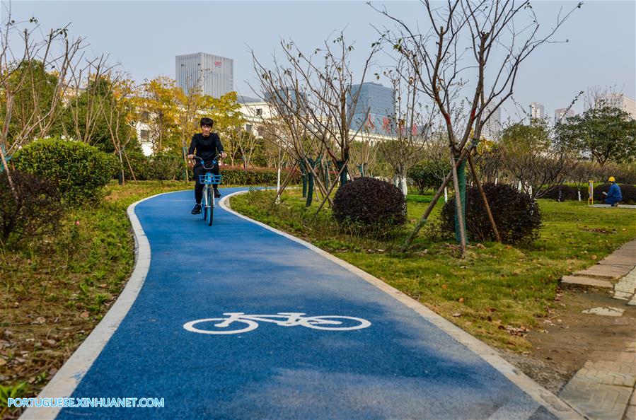 Ciclovias verdes oferecem opção de viagem ecológica na China