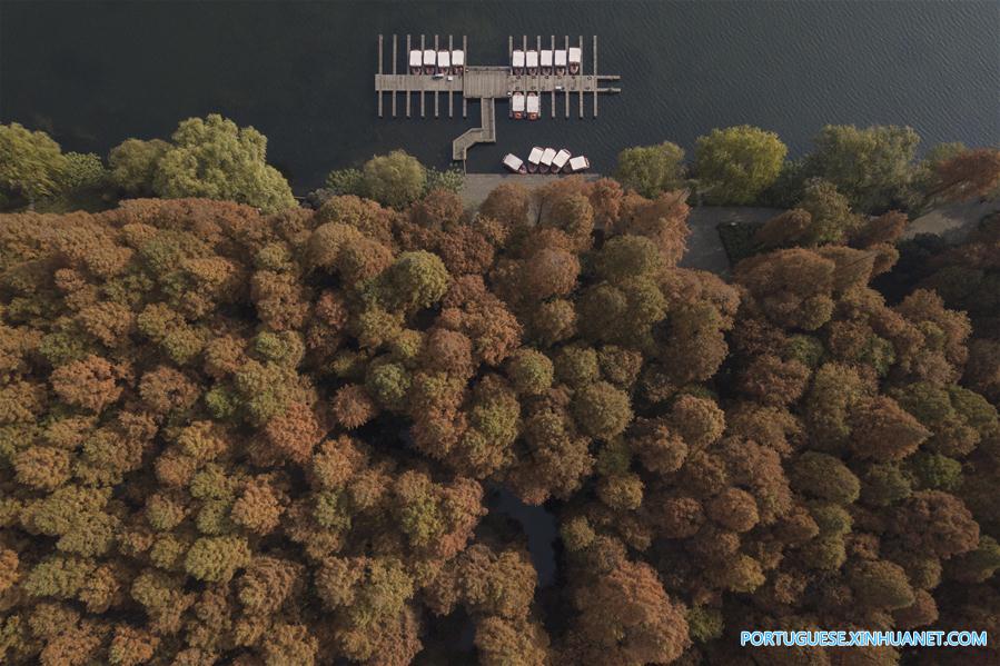 Em imagens: Lago do Oeste em Hangzhou, no leste da China