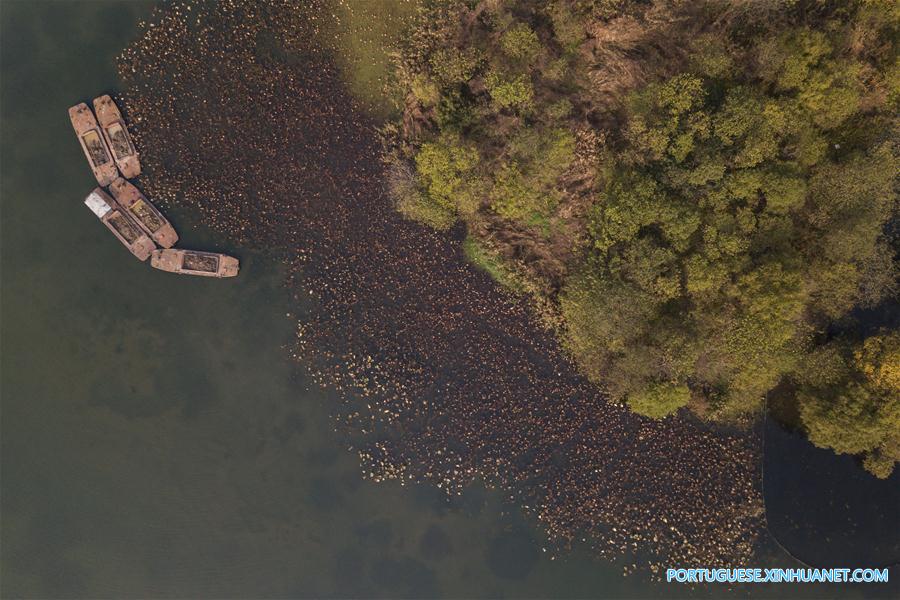 Em imagens: Lago do Oeste em Hangzhou, no leste da China