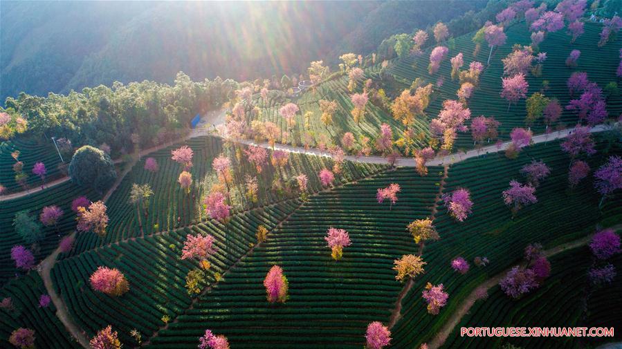 Paisagem do vale da cereja em Yunnan