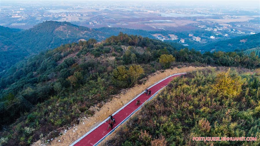 Via verde em Zhejiang torna-se popular resort rural para visitantes