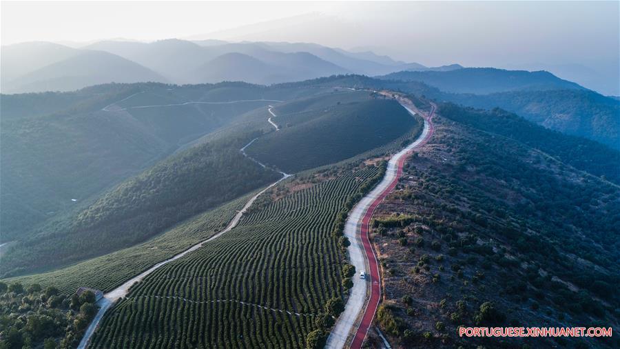 Via verde em Zhejiang torna-se popular resort rural para visitantes