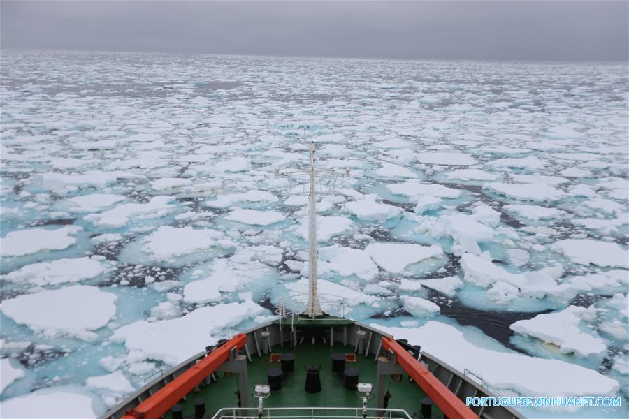 Quebra-gelo chinês Xuelong continua expedição antártica