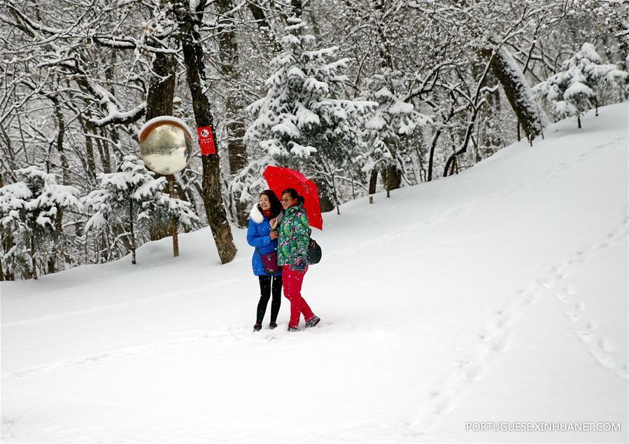 Várias cidades da China têm primeira queda de neve de 2018