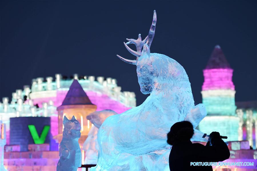 Galeria: 2º dia da 32ª Competição Internacional de Esculturas de Gelo de Harbin