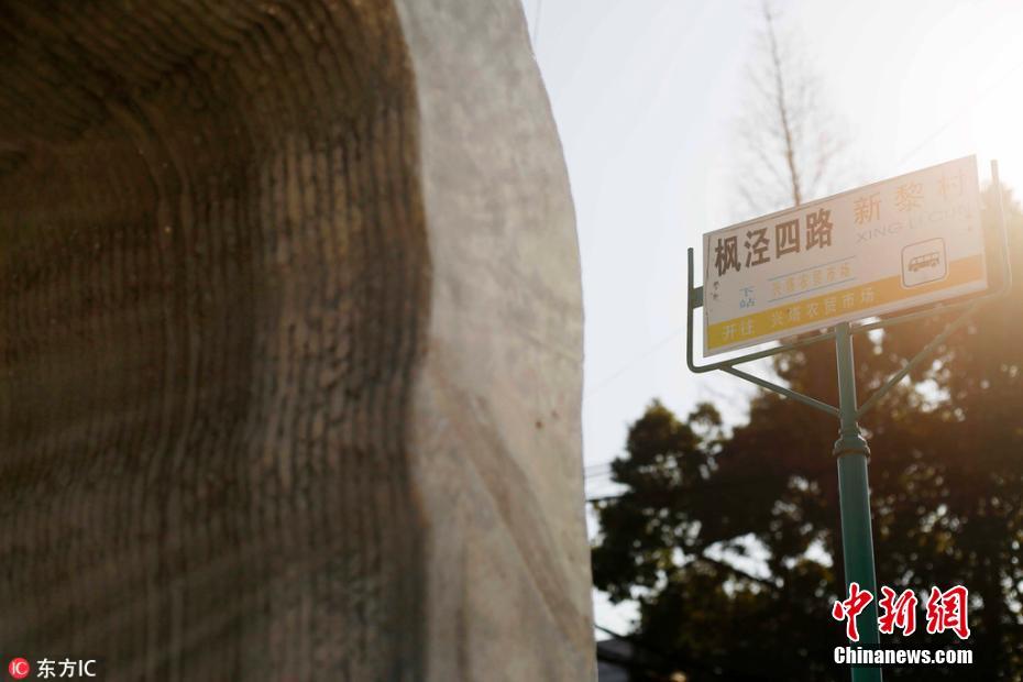 Galeria: Primeira paragem de ônibus impressa a 3D em destaque em Shanghai