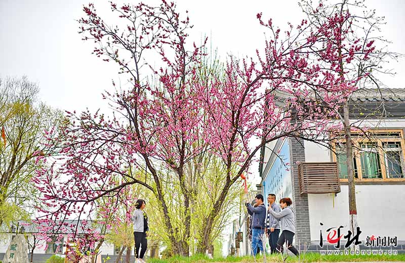 Galeria: Paisagem do distrito de Anxin, na Nova Área de Xiongan