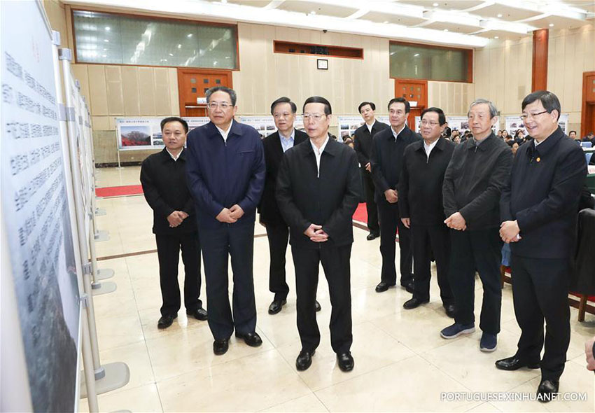 Vice-premiê chinês sublinha desenvolvimento sustentável no Cinturão Econômico do Rio Yangtze