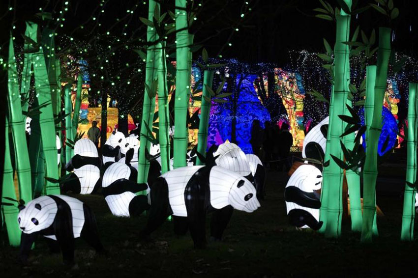 Lanternas tradicionais chinesas exibidas em Gaillac, França