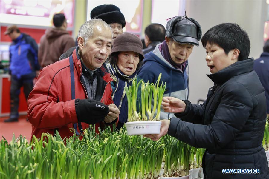 Galeria: China começa a preparar Festival da Primavera