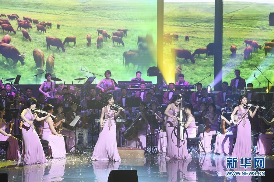 Galeria: Orquestra Samjiyon da RPDC apresenta-se na Coreia do Sul