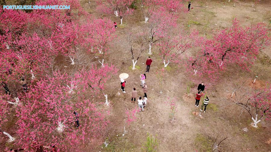 Estação das flores transforma paisagens na China