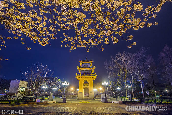 Galeria: Conheça os melhores lugares para apreciar as flores de cerejeira na China