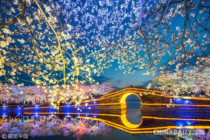 Galeria: Conheça os melhores lugares para apreciar as flores de cerejeira na China