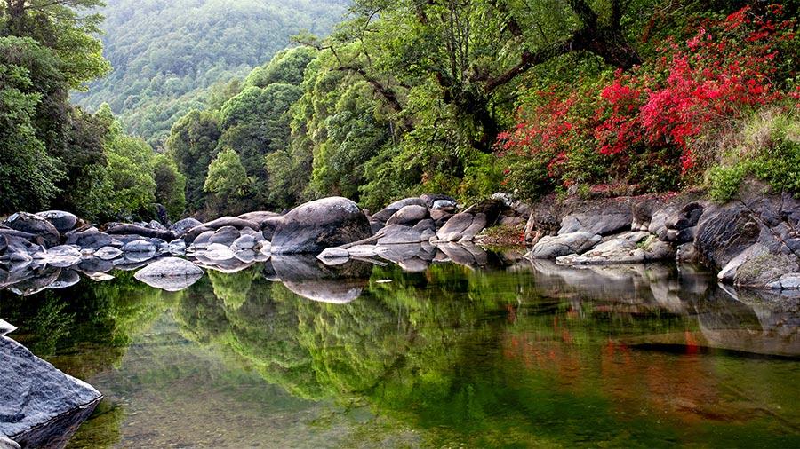 Galeria: Beleza primaveril em Yingjiang