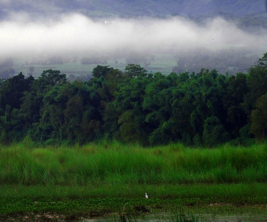 Galeria: Beleza primaveril em Yingjiang