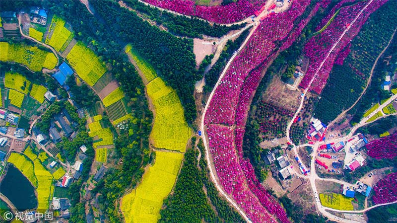 Galeria: Panorama aéreo da chegada da Primavera na China