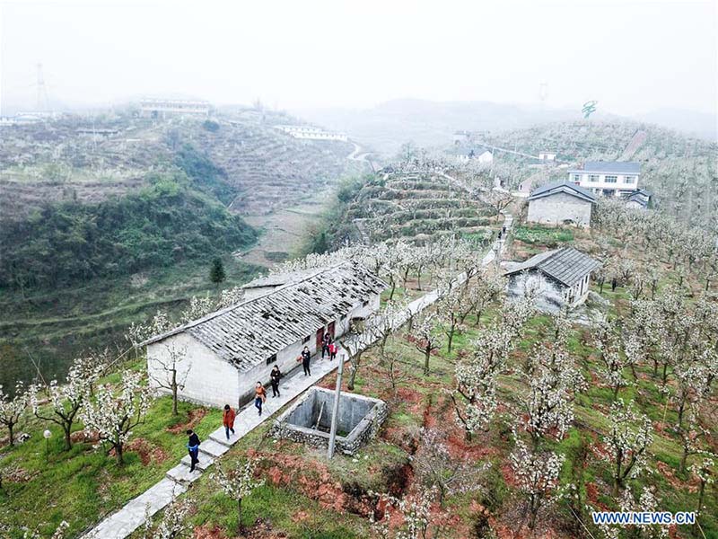 Galeria: Panorama aéreo da chegada da Primavera na China